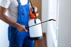 Best Pest Prevention Services  in Cleburne, TX